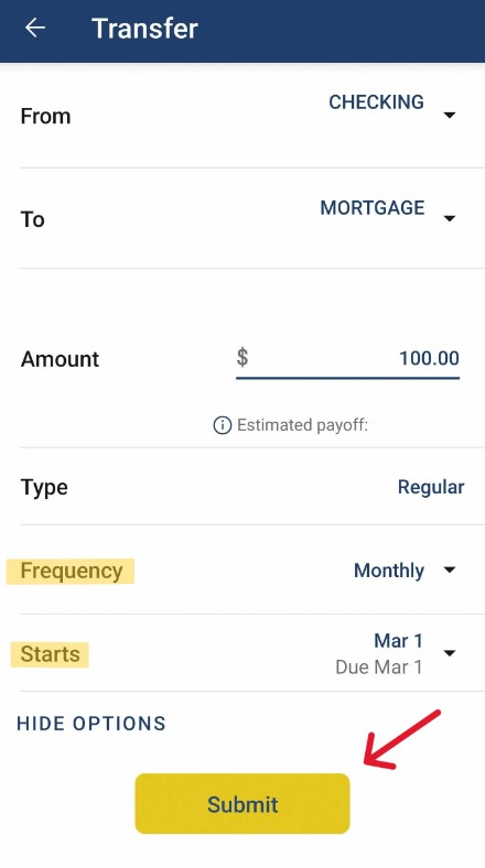 Digital Banking Transfer feature with expanded More options